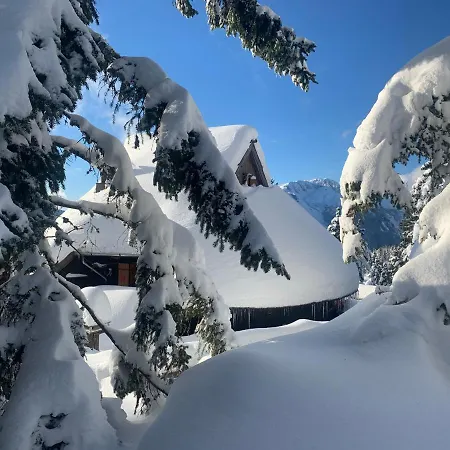 Velika Planina - Chalet Stane - Alps Stahovica Exterior photo