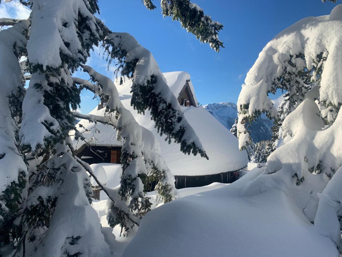 Chalet Velika Planina - Stane - Alps *