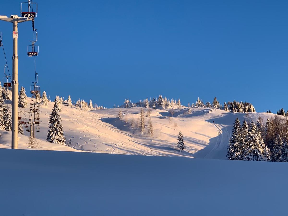Velika Planina - Stane - Alps Stahovica