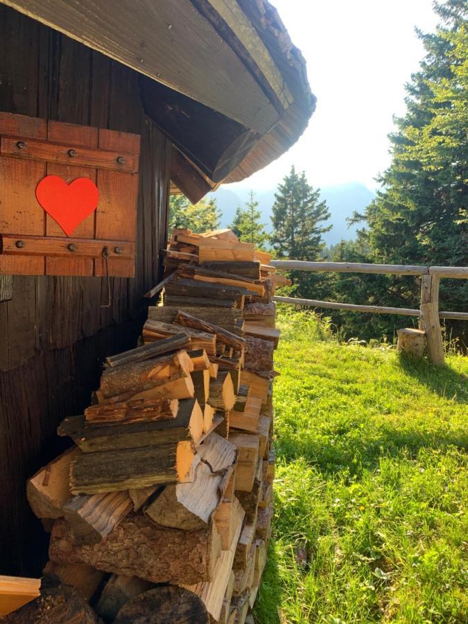 Velika Planina - Stane - Alps *