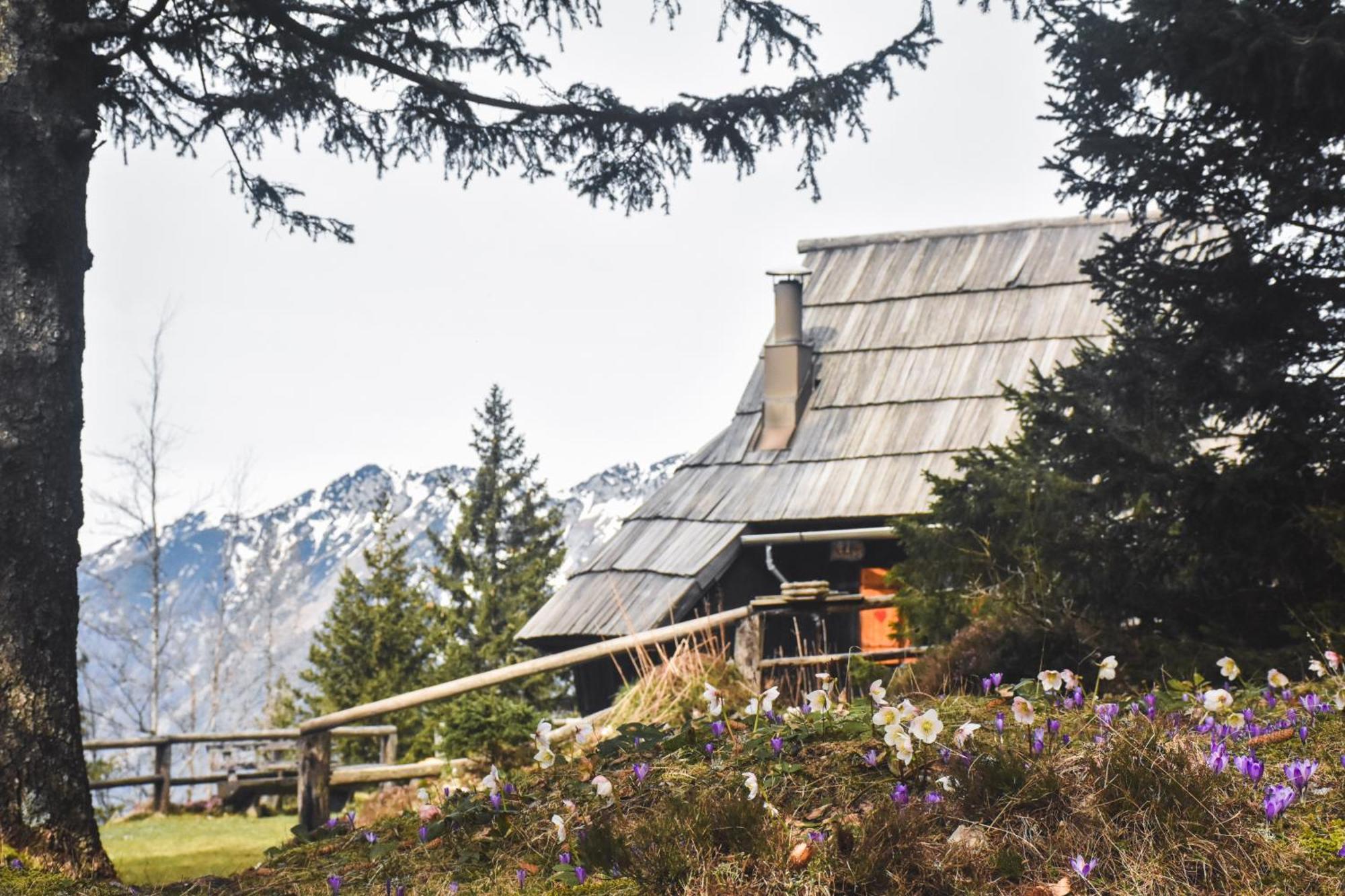 Velika Planina - Stane - Alps