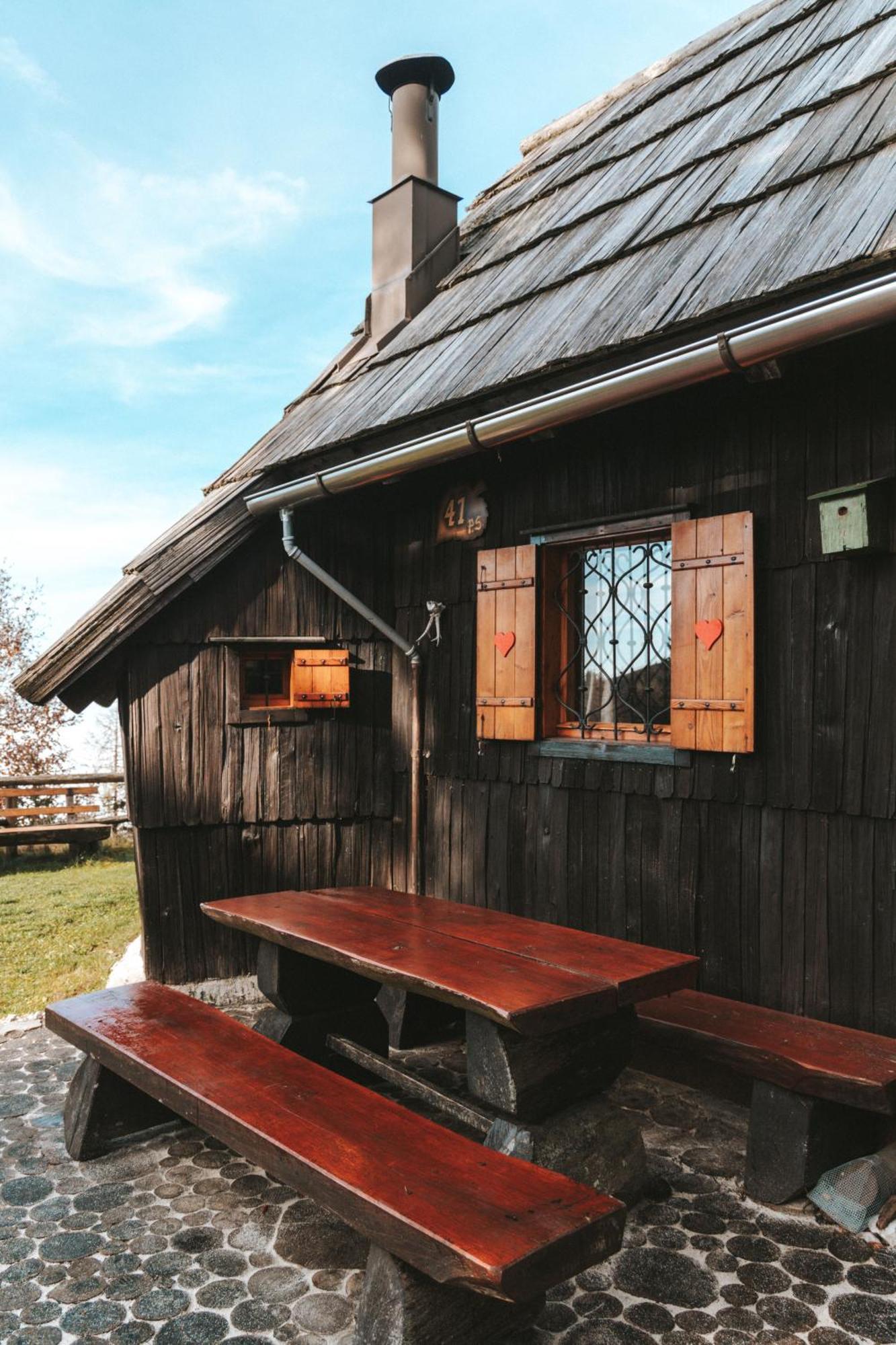 Velika Planina - Stane - Alps Stahovica