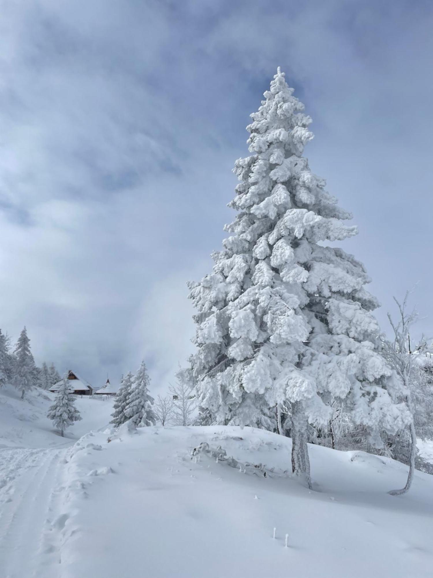 Chalet Velika Planina - Stane - Alps Stahovica