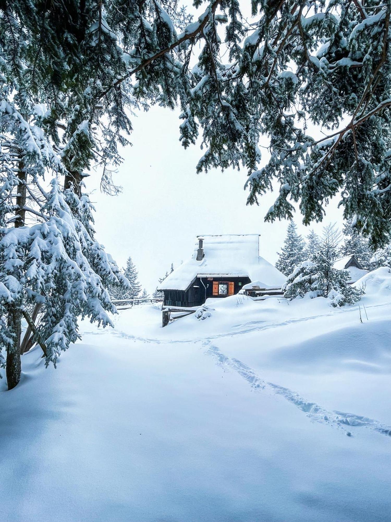 Chalet Velika Planina - Stane - Alps
